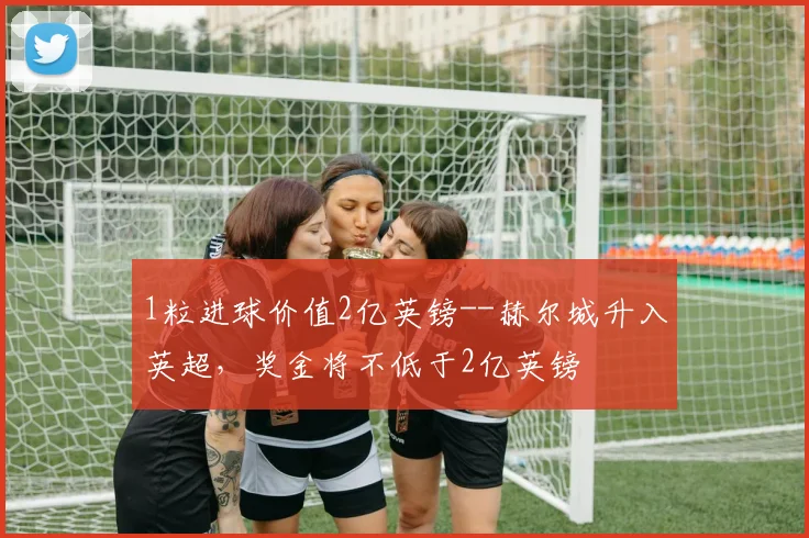 1粒进球价值2亿英镑--赫尔城升入英超，奖金将不低于2亿英镑